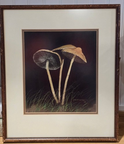 Quadro acquerello funghi