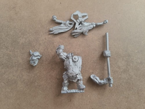 Warhammer fantasy scegli - fantasy,