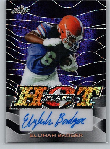 2024 leaf eclectic flash - leaf,
