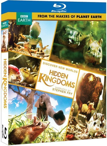 Hidden kingdom new - hidden,