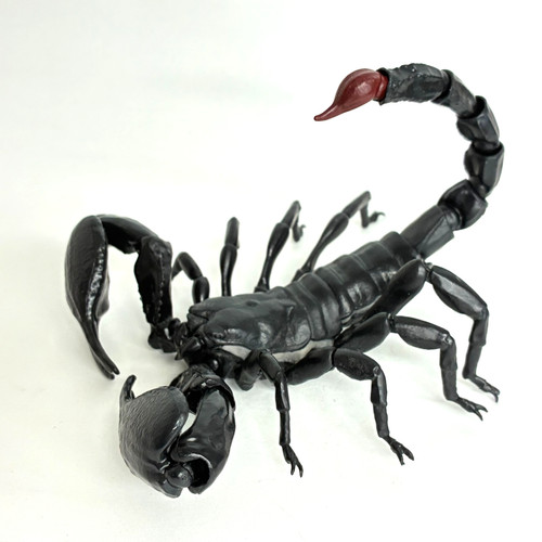 Usato bandai gashapon - 【usato】,