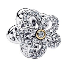Pandora Gioielli Argento Charm