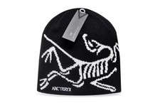Cappello Arcteryx Bird Head