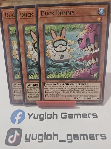 Duck dummy x3 cibr - yu-gi-oh,