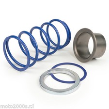 MOLLA DI CONTRASTO POLINI