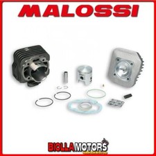 317200 GRUPPO TERMICO MALOSSI