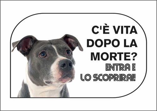 Cartello segnaletico amstaff - segnaletico,