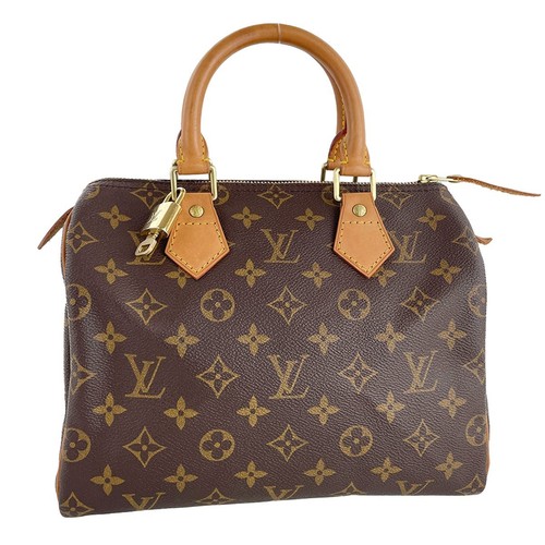 Borsa mano louis vuitton - louis,