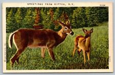 Cartolina Saluti da Rifton New York