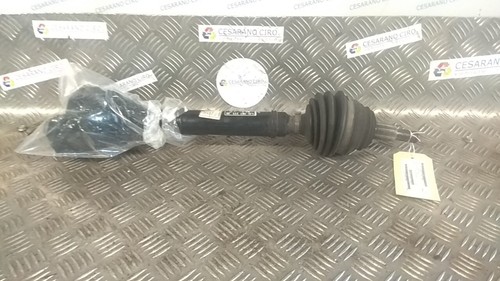 Semialbero ant compl - semialbero, sx