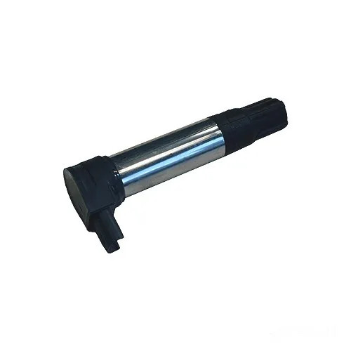 Bobina accensione zs385 beru - bobina,