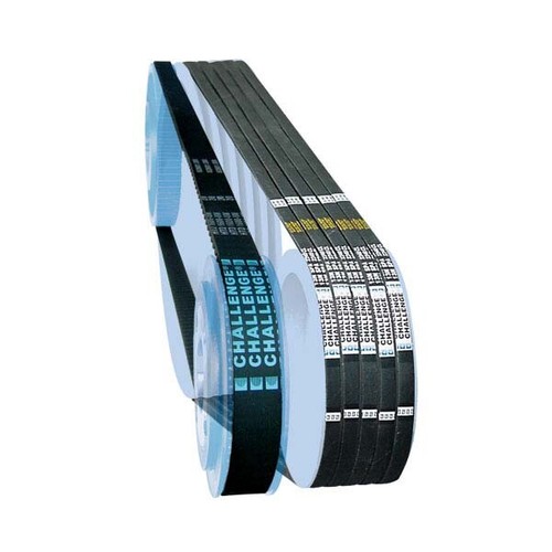 Spzx775 chall cinture - |, con