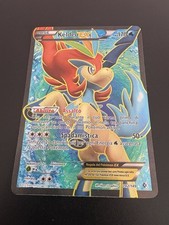 Pokemon Boundaries Crossed