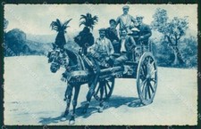 Palermo Carro Siciliano