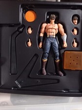 Kaiyodo Revoltech Revolution