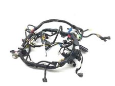 Main Engine Wiring Harness