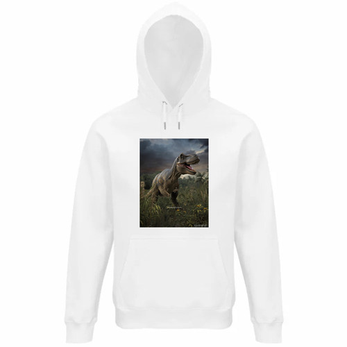 Felpa unisex cappuccio - unisex,