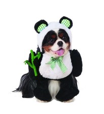 Costume panda da passeggio