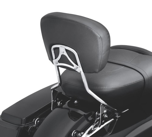 Detachable passenger sissy bar - detachable,