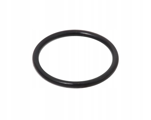 Ring filtro cambio - filtro,