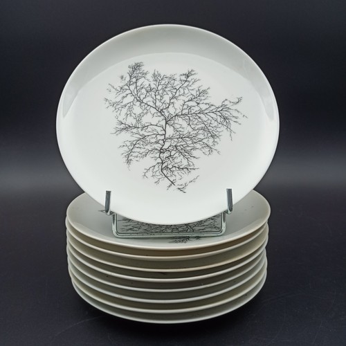 Limoges piccole piatto in - -,