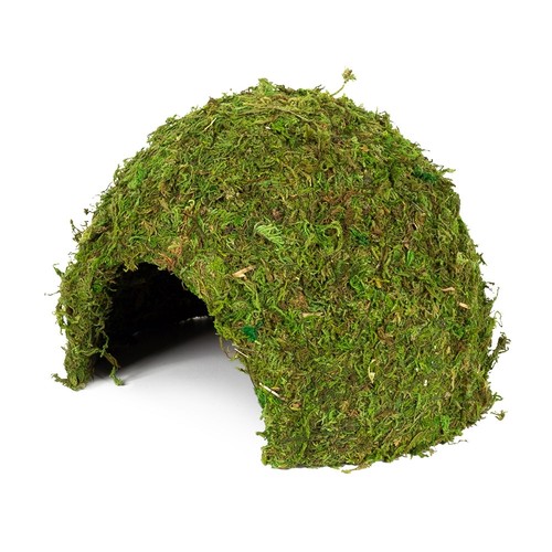 Hobby jungle cave - cave,