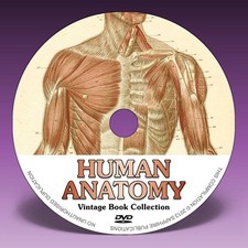 HUMAN ANATOMY - 71 Vintage