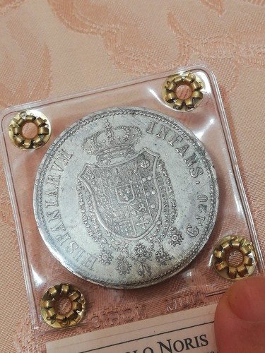 Italia 120 grana - grana, (