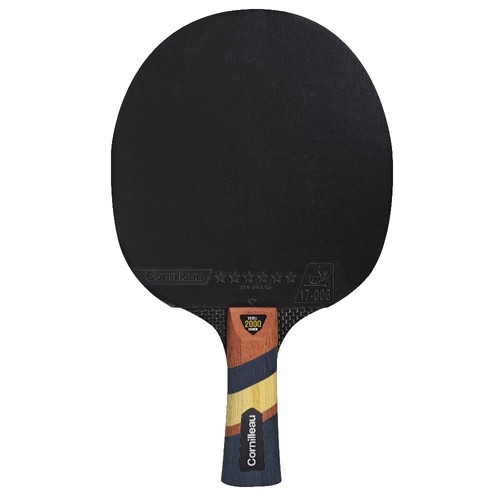 Excell 2000 carbon raquette - excell,