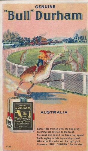 Pubblicità inglese bull - inglese,