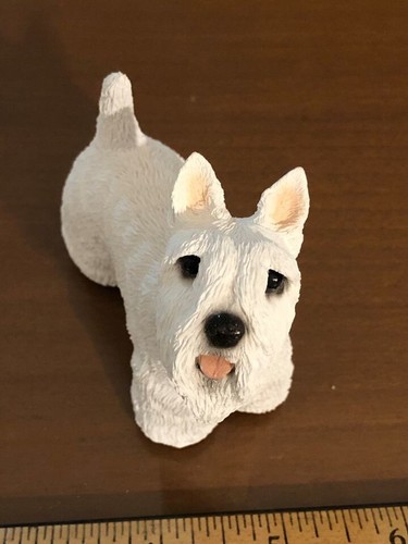 West highland white - highland, terrier