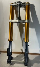 Forcella Oro Steli Anteriori