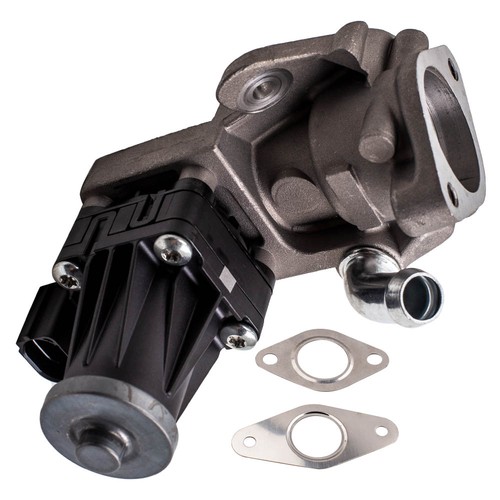 Valvola egr con - egr, guarnizioni