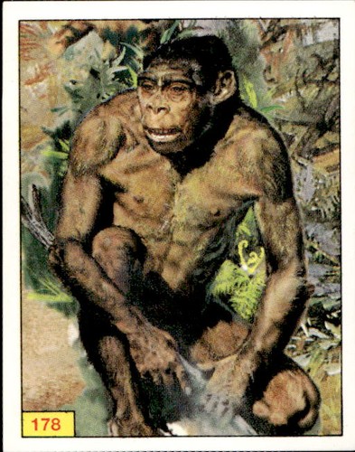 Figurine animali preistorici - figurine,