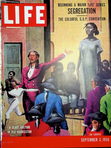 Solo copertina life - copertina,