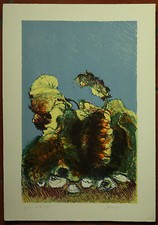 Giancarlo Cazzaniga litografia FOGLIE   50x35 firmata numerata La Spirale