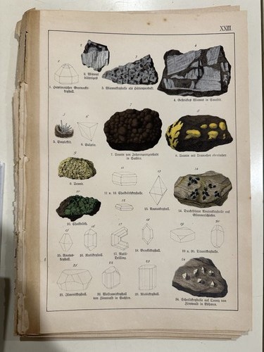 Stampa antica incisione 1888