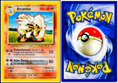 Arcanine pokemon set base - arcanine,