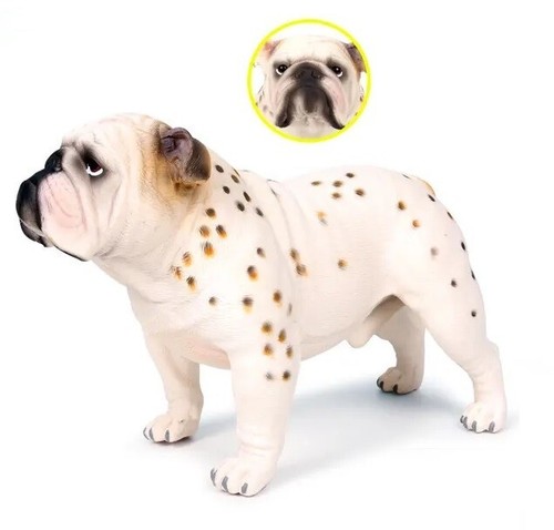 Bulldog cane animale