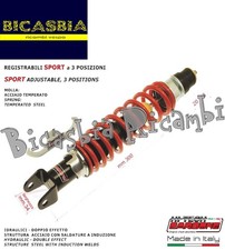 21301 carbone ammortizzatore - carbone,