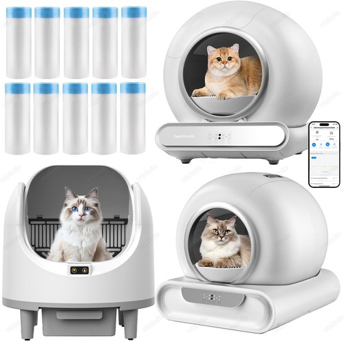Lettiera autopulente - ✅lettiera,