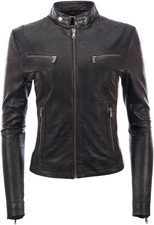 Giacca Da Moto Molto Alla Moda