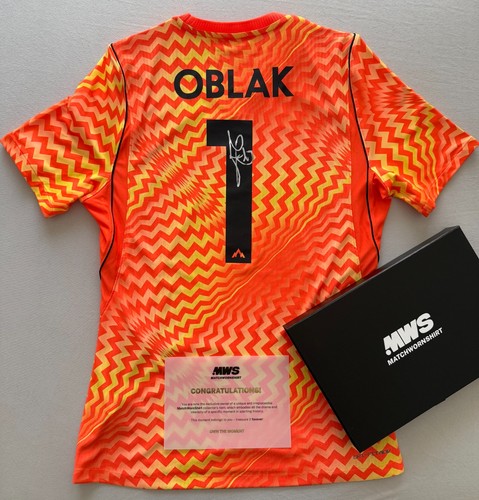 Maglia matchworn slovenia - slovenia, jan