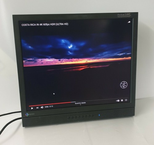 Schermo monitor flexscan - monitor,