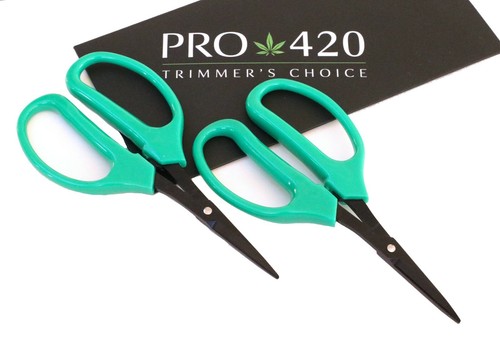 Forbici potatura bud pro - da, by