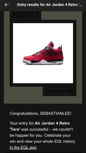 Air jordan retro toro bravo - toro,
