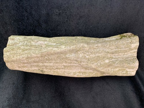 Tronco legno muscolare - di,