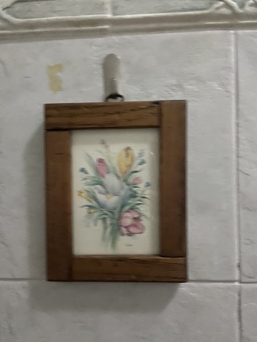 Set quadretti fiori - 5,