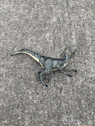 Jurassic world velociraptor - world,