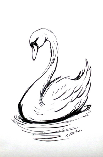 Disegno inchiostro originale - a,